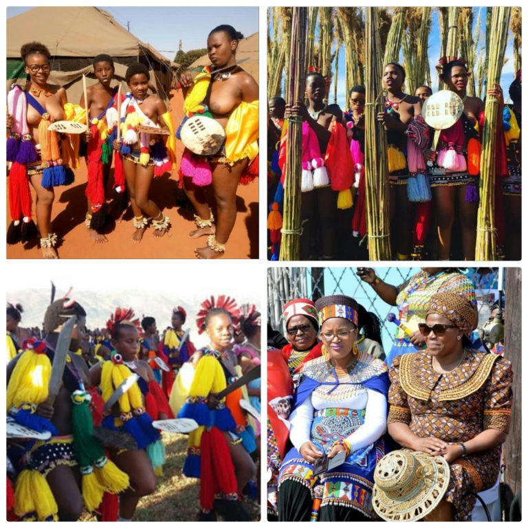 About Swazi Umhlanga Ceremony Reed Dance Clipkulture